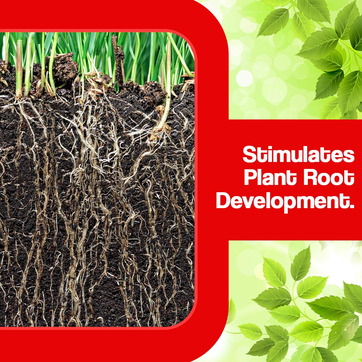 OrganicDews Organic Humic Acid 98% Fertilizer (Water-Soluble) | Shiny Flakes for Plants | Plant Growth Enhancer & Soil Conditioner | Supports Healthy Root Development