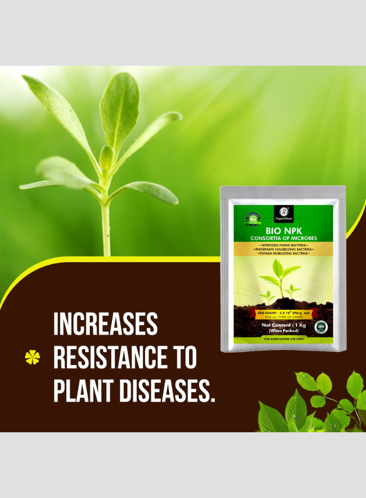 OrganicDews Bio NPK Consortia (5x10^7 CFU/g) Bio Fertilizer – Bio Inoculum for Plants – Improves Soil Fertility, Supports Plant Growth & Enhances Nutrient Availability