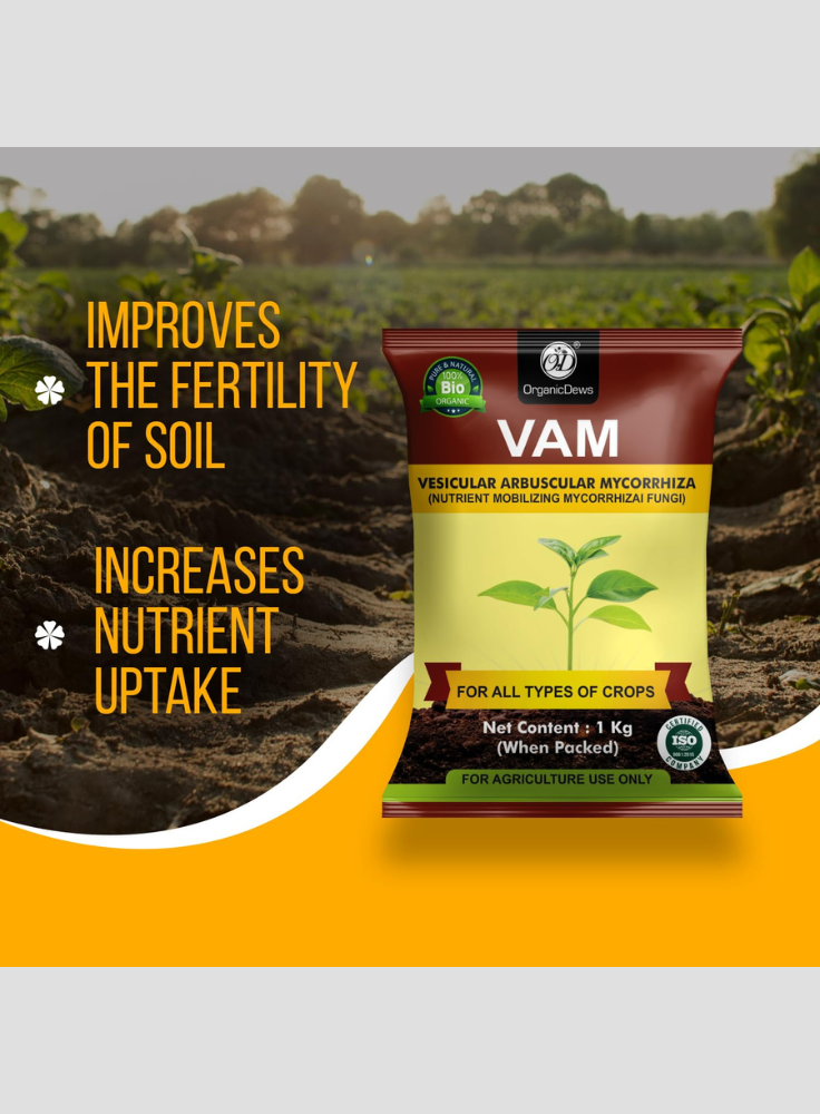 OrganicDews Vesicular Arbuscular Mycorrhiza (VAM) Powder - Nutrient Mobilizing Mycorrhizal Fungi for Plants - Improves Nutrient Uptake, Soil Fertility, Root Growth & Plant Growth - VAM