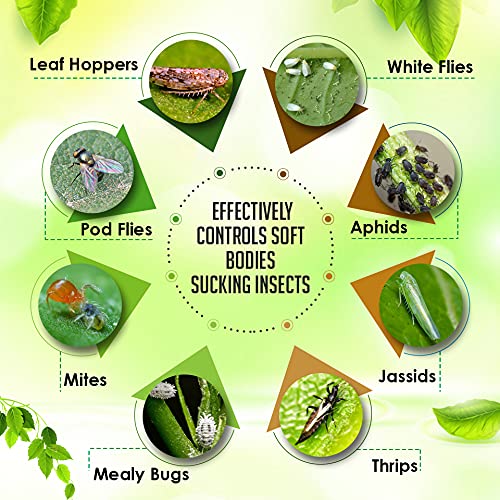 OrganicDews Verticillium lecanii (1x10^8 CFU/g) for Plants