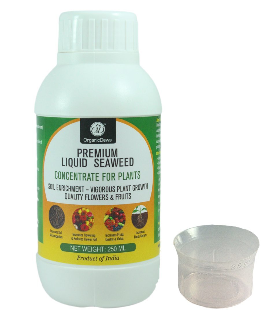 OrganicDews Liquid Seaweed Concentrate for Plants with Measuring Cup 25 ml Fertilizer for All Indoor and Outdoor Plants