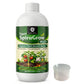 OrganicDews Liquid Spirulina Based Biostimulant for Plants - Organic Plant Growth Booster Improves Root Growth, Leaf Health & Flowering - For Indoor, Outdoor, Terrace & Garden Plants