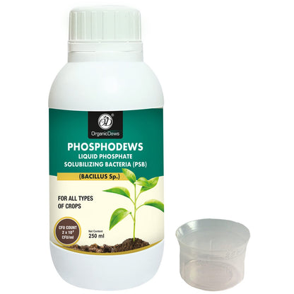 OrganicDews Phosphate Solubilizing Bacteria (PSB) – 2×10⁸ CFU/mL Liquid Bio Inoculant Fertilizer for Plants – Supports Phosphorus Availability, Root Development & Nutrient Uptake – Phosphodews
