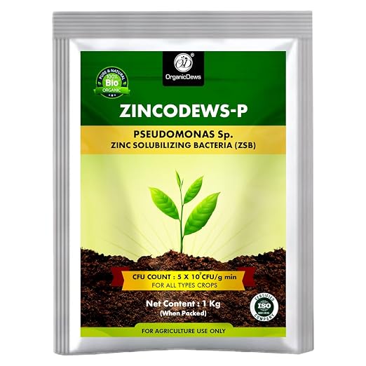 OrganicDews Zinc Solubilizing Bacteria ZSB Bio Fertilizer (5x10^7 CFU/g) Bio Inoculum for Plants – Improves Zinc Availability, Supports Plant Growth, Soil Fertility & Yield