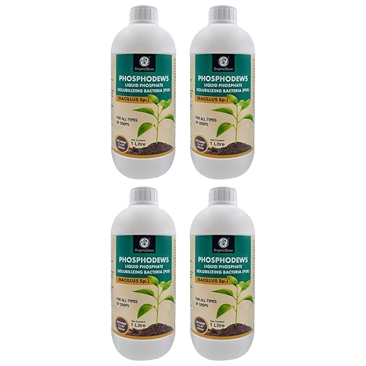 OrganicDews Phosphate Solubilizing Bacteria (PSB) – 2×10⁸ CFU/mL Liquid Bio Inoculant Fertilizer for Plants – Supports Phosphorus Availability, Root Development & Nutrient Uptake – Phosphodews