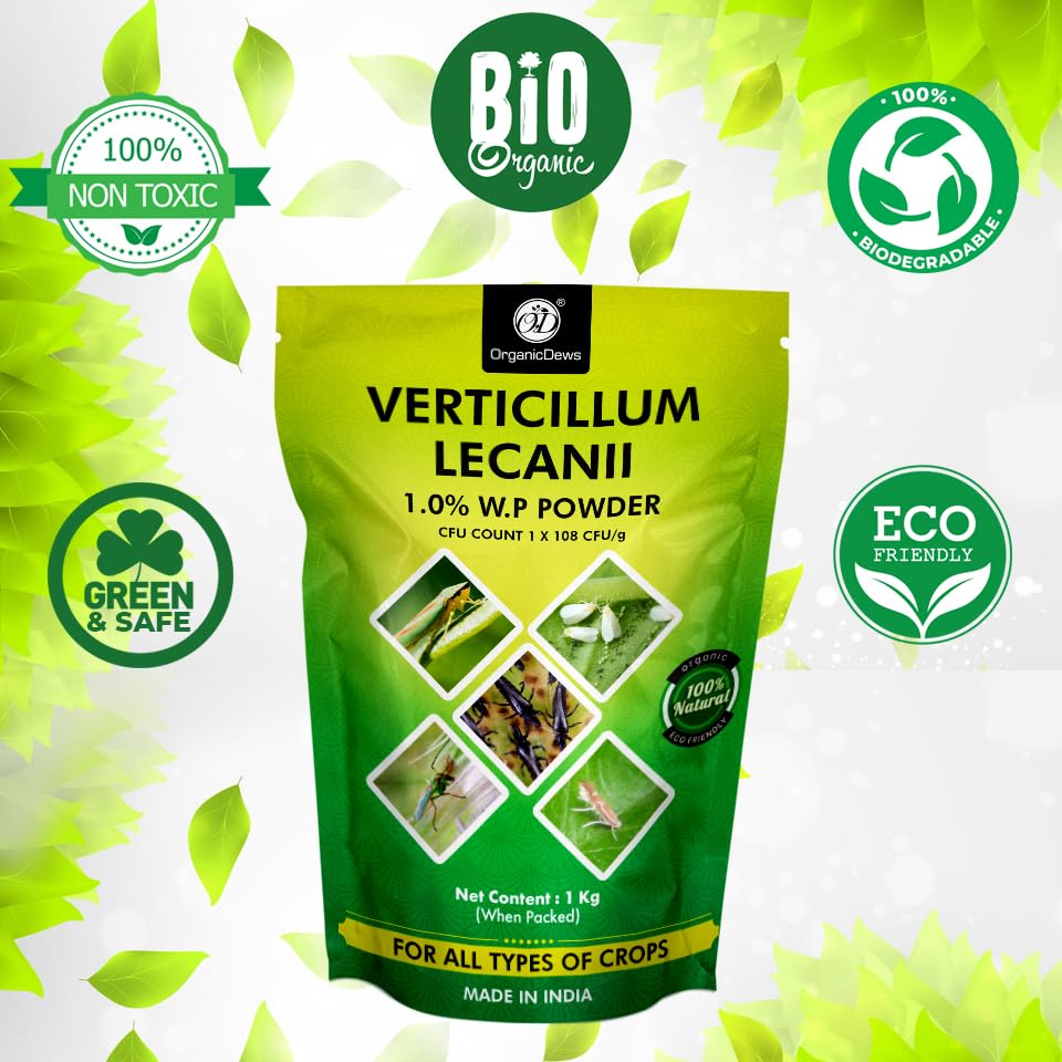 OrganicDews Verticillium lecanii (1x10^8 CFU/g) for Plants