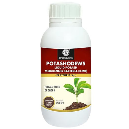 OrganicDews Potassium Mobilizing Bacteria (KMB) – 2×10⁸ CFU/mL Liquid Bio Inoculant Fertilizer for Plants – Supports Potassium Availability, Root Growth, Flowering & Fruit Quality – Potashodews