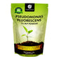 OrganicDews Pseudomonas Fluorescens Powder(2x10 8 CFU/g) for Seeds and Garden Plants - Against Root/Stem Rot, Wilt Fungal Dieases