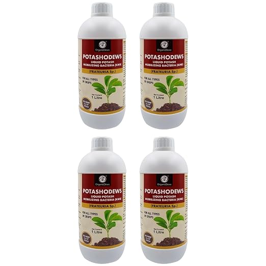 OrganicDews Potassium Mobilizing Bacteria (KMB) – 2×10⁸ CFU/mL Liquid Bio Inoculant Fertilizer for Plants – Supports Potassium Availability, Root Growth, Flowering & Fruit Quality – Potashodews