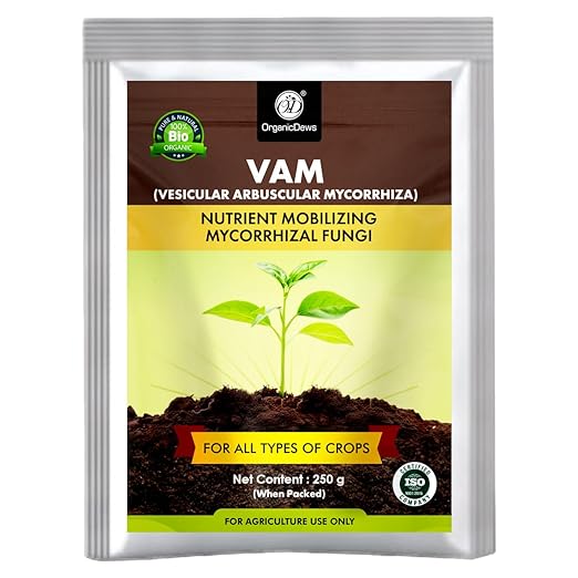 OrganicDews Vesicular Arbuscular Mycorrhiza (VAM) Powder - Nutrient Mobilizing Mycorrhizal Fungi for Plants - Improves Nutrient Uptake, Soil Fertility, Root Growth & Plant Growth - VAM