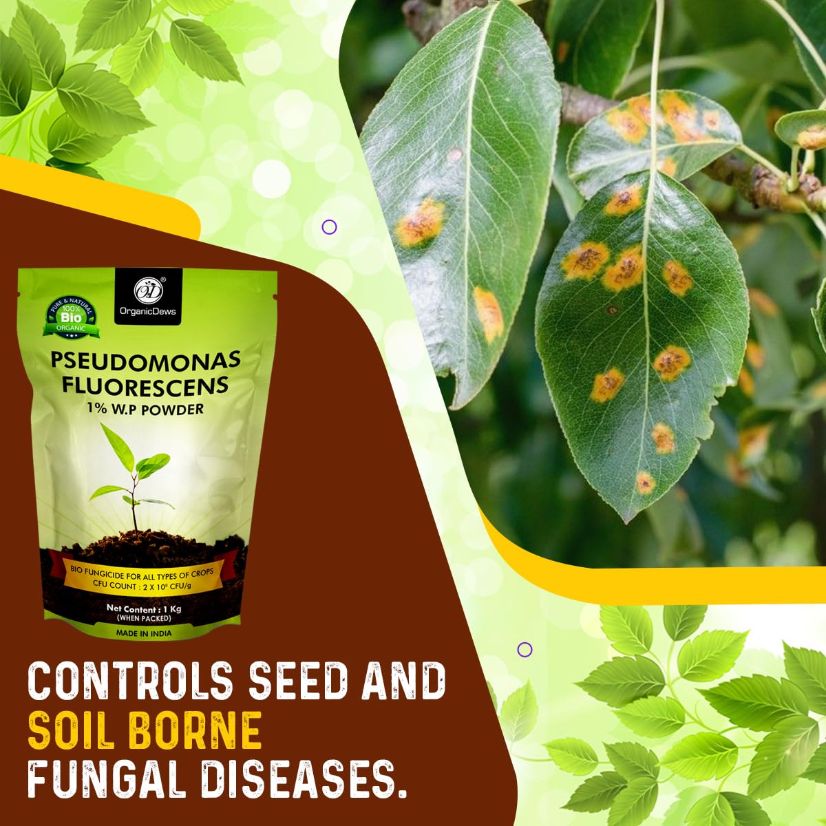 OrganicDews Pseudomonas Fluorescens Powder(2x10 8 CFU/g) for Seeds and Garden Plants - Against Root/Stem Rot, Wilt Fungal Dieases