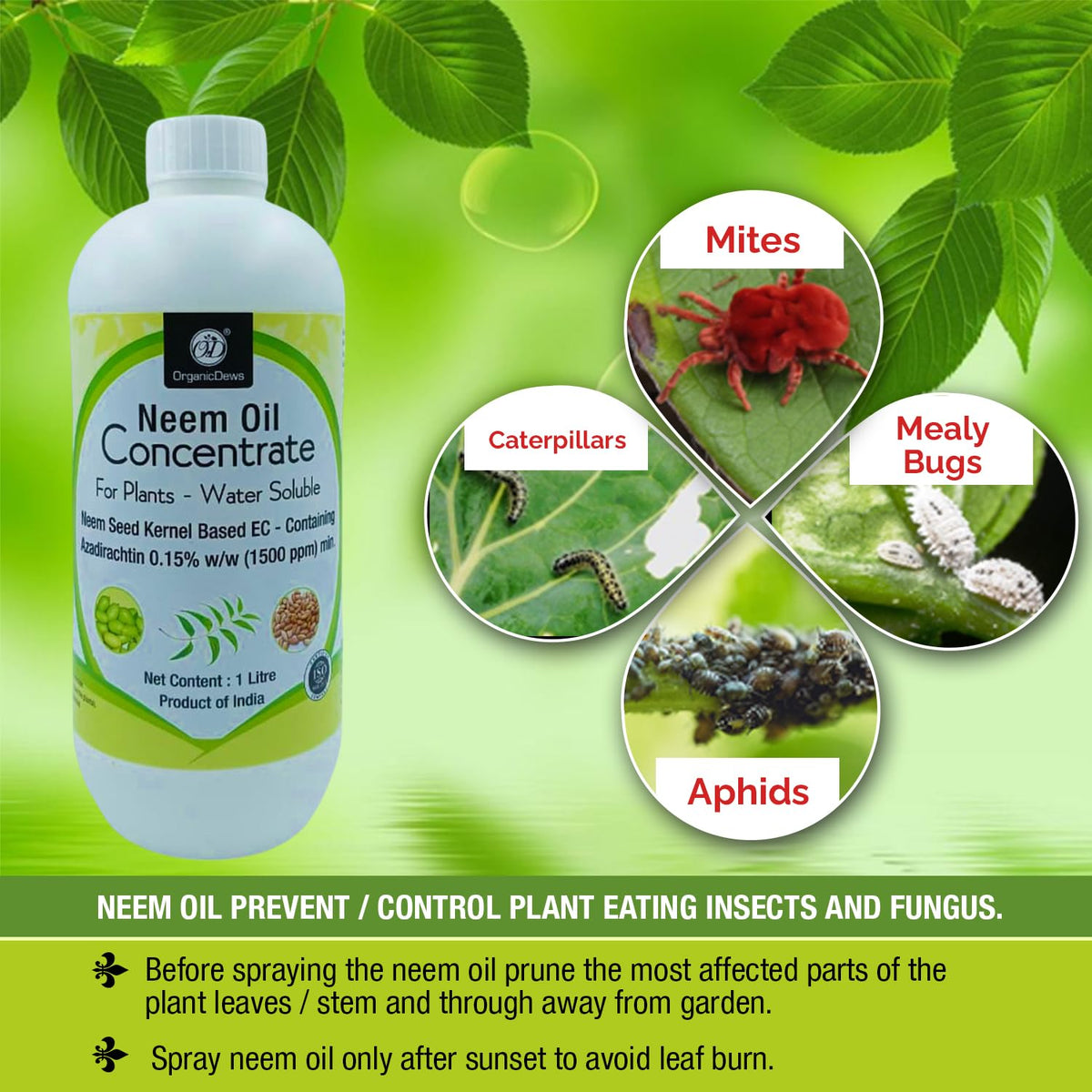 OrganicDews Neem Oil 1500 PPM (Water Soluble) Concentrate for Plants with Measuring Cup 25 ml - Controls Garden Insects and Fungus