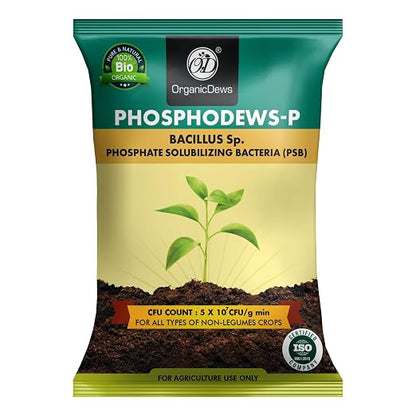 OrganicDews Phosphate Solubilizing Bacteria (PSB) Bio Fertilizer Powder (5×10⁷ CFU/g) for Plants - Improves Phosphorus Availability, Nutrient Uptake, Root Development & Plant Growth