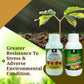 OrganicDews Liquid Seaweed Fertilizer & Humic Acid Fertilizer Combo Based Bio Stimulant for Plants Measuring Cap 25 ml - Plant Growth Enhancer, Soil Conditioner for Indoor & Outdoor