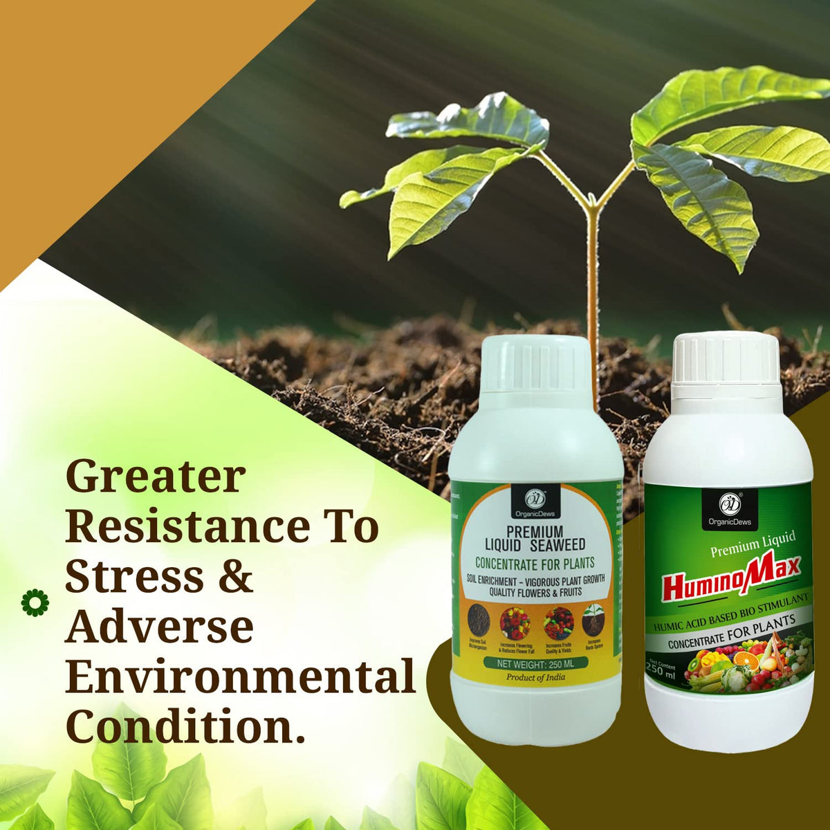 OrganicDews Liquid Seaweed Fertilizer & Humic Acid Fertilizer Combo Based Bio Stimulant for Plants Measuring Cap 25 ml - Plant Growth Enhancer, Soil Conditioner for Indoor & Outdoor