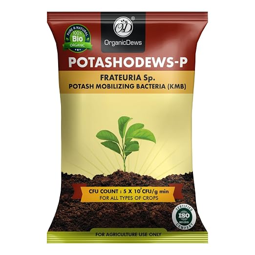 OrganicDews Potash Mobilizing Bacteria KMB Bio Fertilizer (5x10^7 CFU/g) Bio Inoculant for Plants – Improves Potassium Availability, Supports Root Growth, Flowering & Fruit Quality