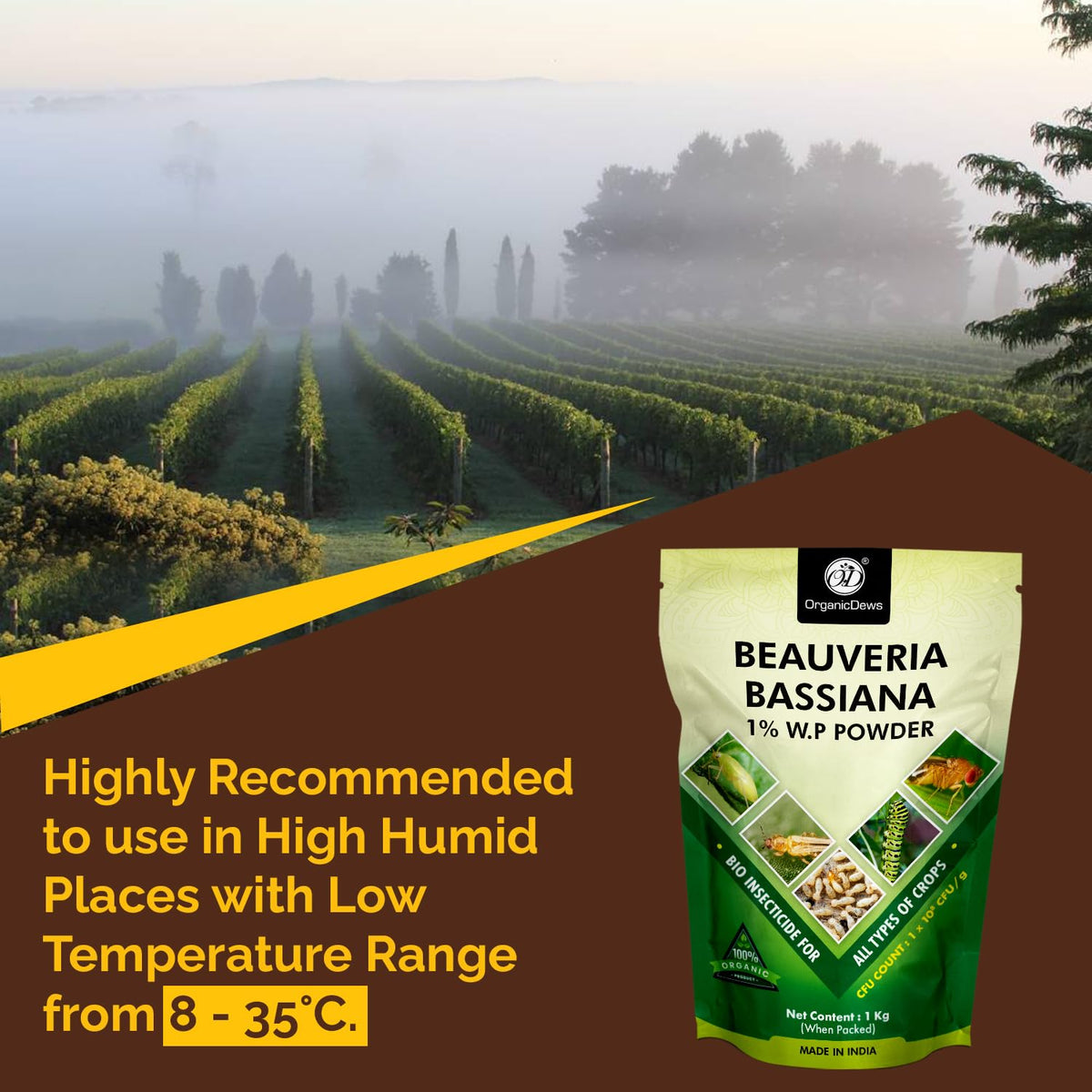 OrganicDews Beauveria Bassiana (1x10^8 CFU/g) for Plants