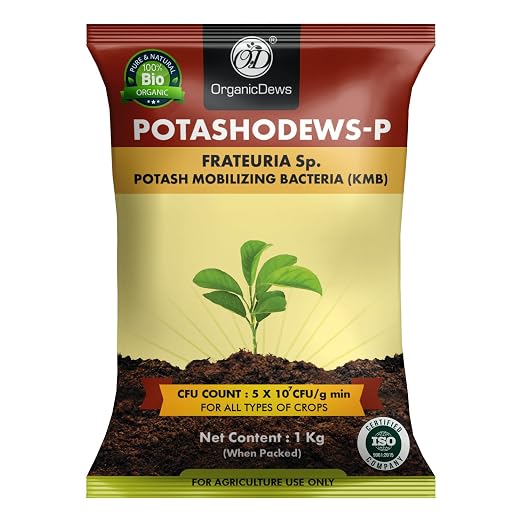 OrganicDews Potash Mobilizing Bacteria KMB Bio Fertilizer (5x10^7 CFU/g) Bio Inoculant for Plants – Improves Potassium Availability, Supports Root Growth, Flowering & Fruit Quality