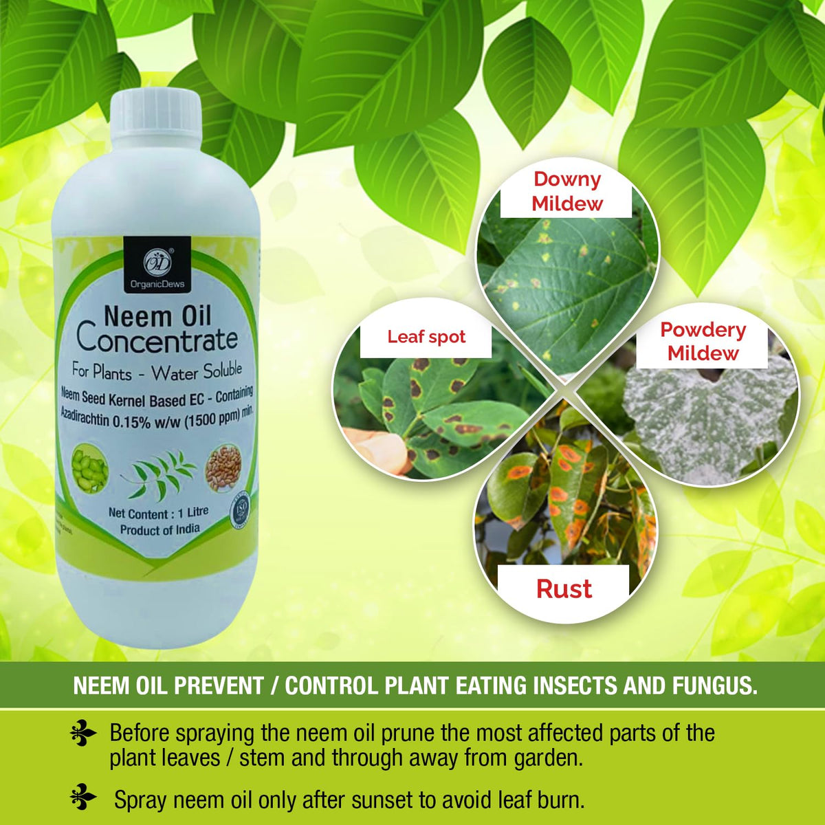 OrganicDews Neem Oil 1500 PPM (Water Soluble) Concentrate for Plants with Measuring Cup 25 ml - Controls Garden Insects and Fungus