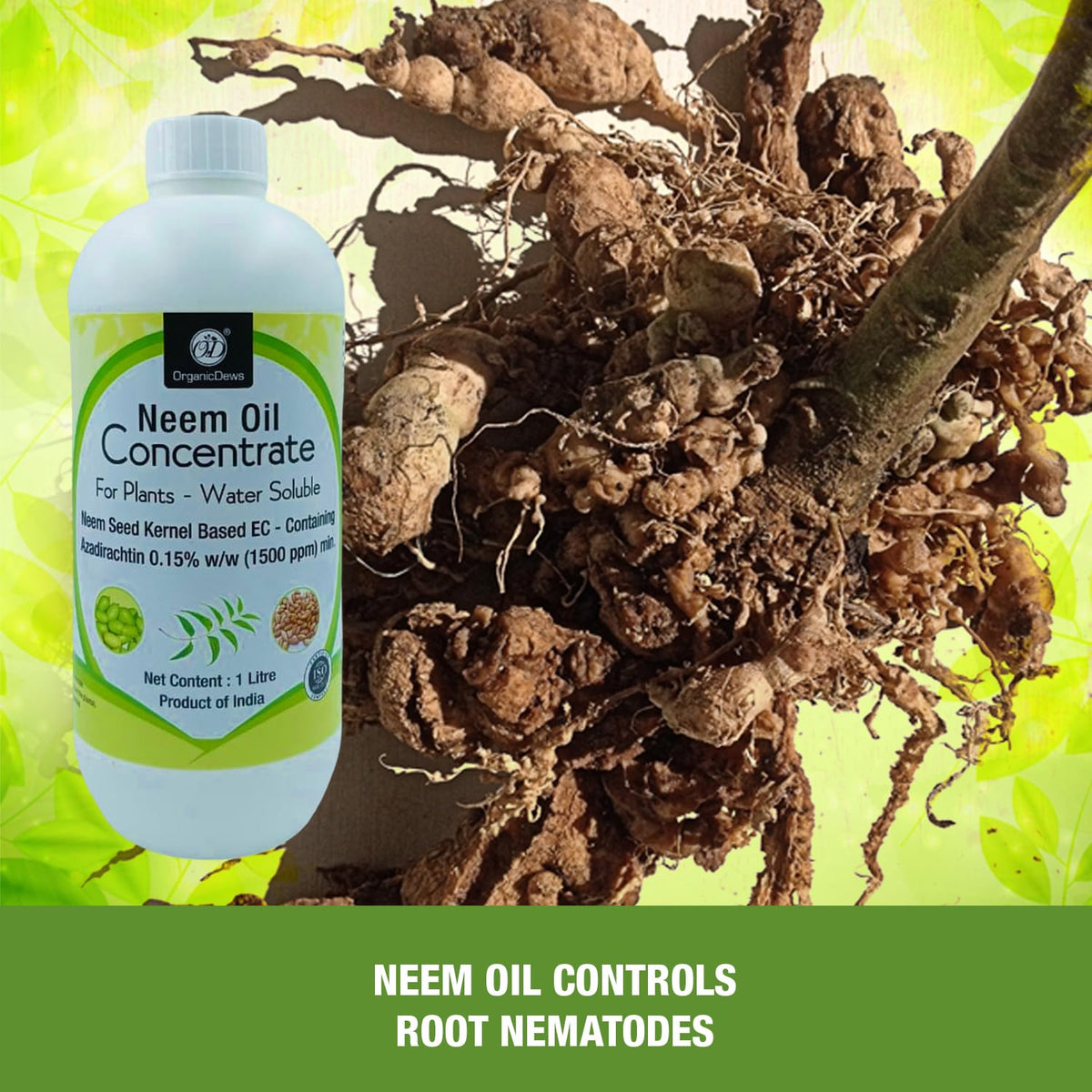 OrganicDews Neem Oil 1500 PPM (Water Soluble) Concentrate for Plants with Measuring Cup 25 ml - Controls Garden Insects and Fungus