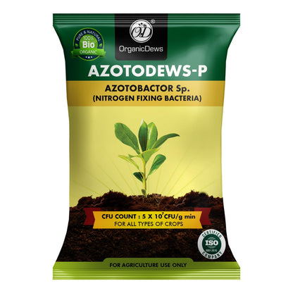 OrganicDews Azotobacter Bio Fertilizer Powder - Nitrogen-Fixing Bacteria (5×10⁷ CFU/g) for Plants - Improves Nitrogen Availability, Soil Fertility, Root Growth & Plant Growth - AzotoDews