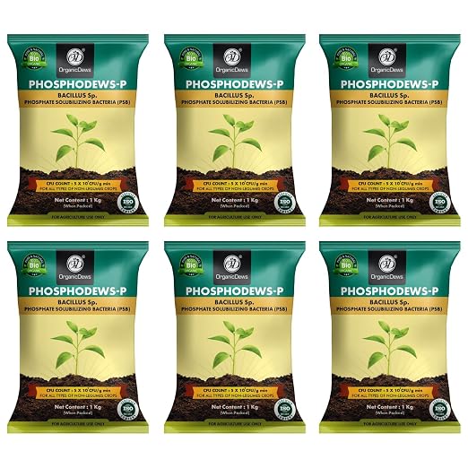 OrganicDews Phosphate Solubilizing Bacteria (PSB) Bio Fertilizer Powder (5×10⁷ CFU/g) for Plants - Improves Phosphorus Availability, Nutrient Uptake, Root Development & Plant Growth