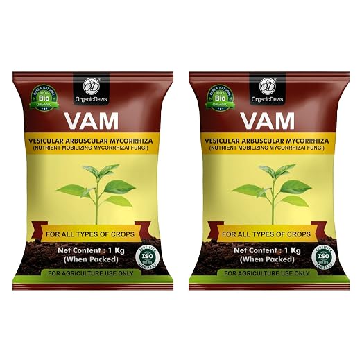 OrganicDews Vesicular Arbuscular Mycorrhiza (VAM) Powder - Nutrient Mobilizing Mycorrhizal Fungi for Plants - Improves Nutrient Uptake, Soil Fertility, Root Growth & Plant Growth - VAM