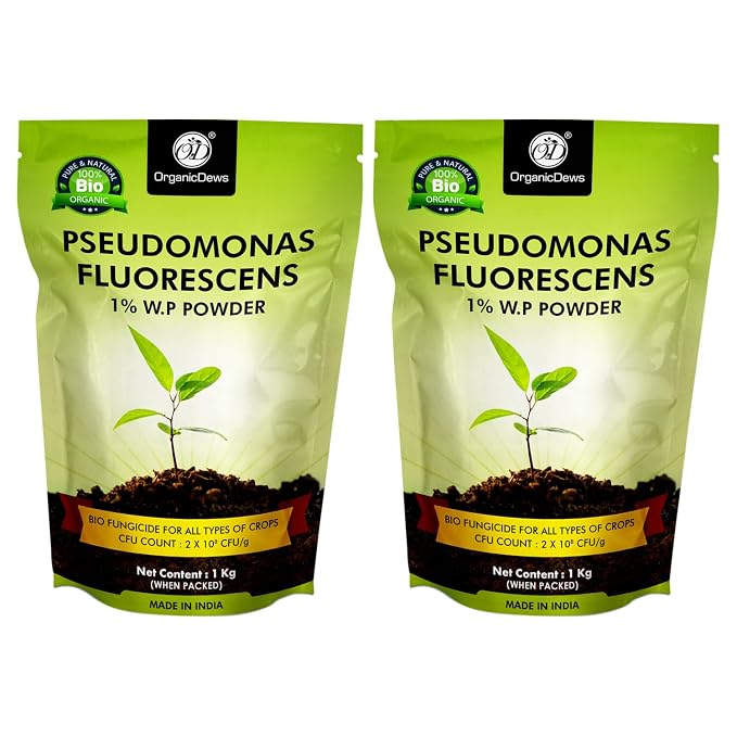 OrganicDews Pseudomonas Fluorescens Powder(2x10 8 CFU/g) for Seeds and Garden Plants - Against Root/Stem Rot, Wilt Fungal Dieases