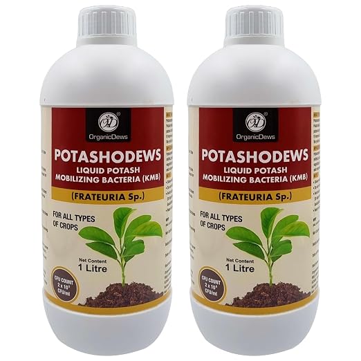OrganicDews Potassium Mobilizing Bacteria (KMB) – 2×10⁸ CFU/mL Liquid Bio Inoculant Fertilizer for Plants – Supports Potassium Availability, Root Growth, Flowering & Fruit Quality – Potashodews