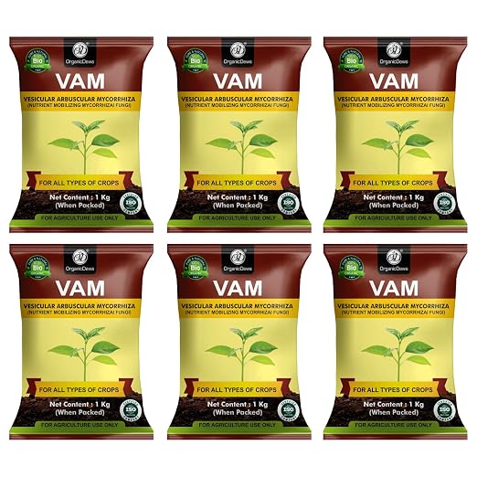 OrganicDews Vesicular Arbuscular Mycorrhiza (VAM) Powder - Nutrient Mobilizing Mycorrhizal Fungi for Plants - Improves Nutrient Uptake, Soil Fertility, Root Growth & Plant Growth - VAM