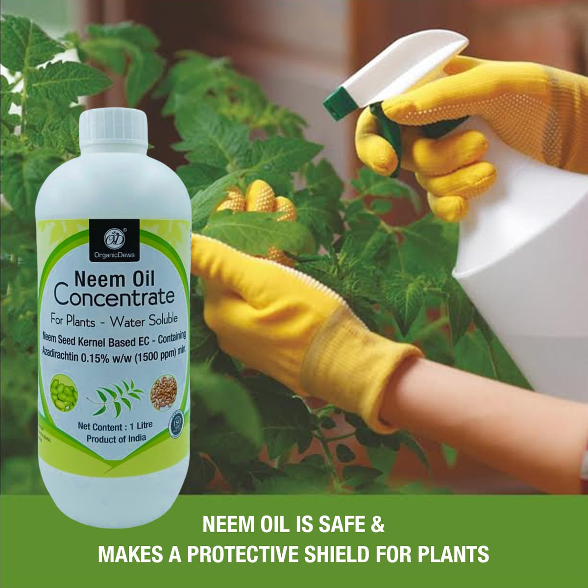 OrganicDews Neem Oil 1500 PPM (Water Soluble) Concentrate for Plants with Measuring Cup 25 ml - Controls Garden Insects and Fungus