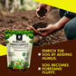 OrganicDews Enriched Vermicompost - Enriched & Fortified with Cow Dung and Bio Fertilizers - For Terrace Gardening, Vegetable/Flower Plants
