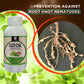 OrganicDews Pure Neem-Karanja Oil Water-Soluble Plant Oil – 250 ml with 25 ml Measuring Cup – Helps Control Garden Insects & Fungal Diseases on Plants – Suitable for Home Gardens & Farming