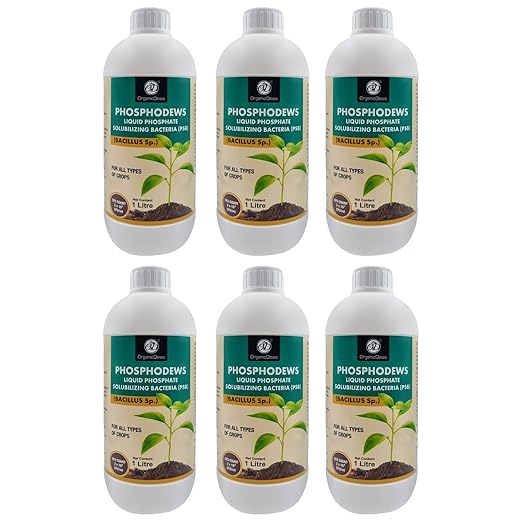 OrganicDews Phosphate Solubilizing Bacteria (PSB) – 2×10⁸ CFU/mL Liquid Bio Inoculant Fertilizer for Plants – Supports Phosphorus Availability, Root Development & Nutrient Uptake – Phosphodews
