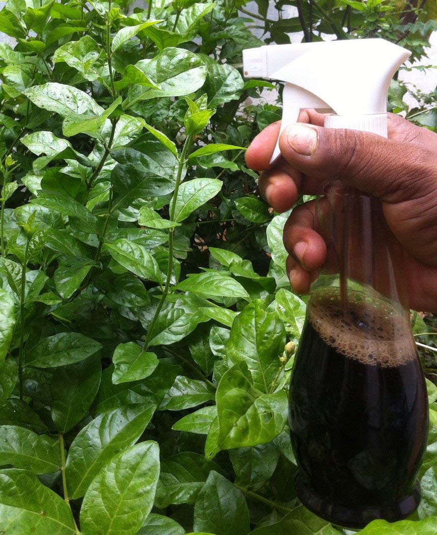 OrganicDews Liquid Seaweed Concentrate for Plants with Measuring Cup 25 ml Fertilizer for All Indoor and Outdoor Plants