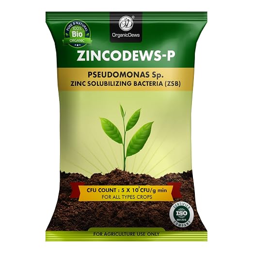OrganicDews Zinc Solubilizing Bacteria ZSB Bio Fertilizer (5x10^7 CFU/g) Bio Inoculum for Plants – Improves Zinc Availability, Supports Plant Growth, Soil Fertility & Yield