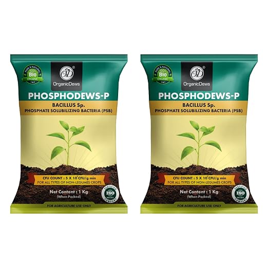 OrganicDews Phosphate Solubilizing Bacteria (PSB) Bio Fertilizer Powder (5×10⁷ CFU/g) for Plants - Improves Phosphorus Availability, Nutrient Uptake, Root Development & Plant Growth