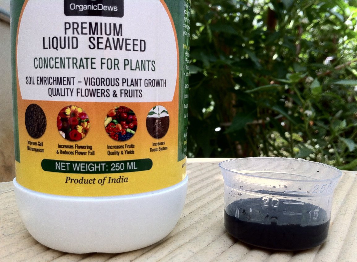 OrganicDews Liquid Seaweed Fertilizer & Neem Seed Oil 1500 PPM -  Combo with Measuring Cup 25 ml - Plant Growth Enhancer cum Protector, Soil Conditioner