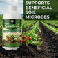 OrganicDews Liquid Spirulina Based Biostimulant for Plants - Organic Plant Growth Booster Improves Root Growth, Leaf Health & Flowering - For Indoor, Outdoor, Terrace & Garden Plants