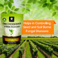 OrganicDews Trichoderma Viride Powder (2 x 10^8 CFU per Gram) For Plants