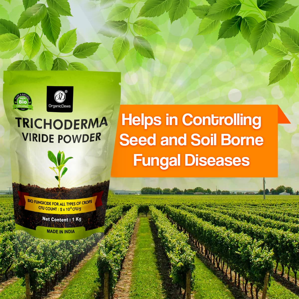 OrganicDews Trichoderma Viride Powder (2 x 10^8 CFU per Gram) For Plants