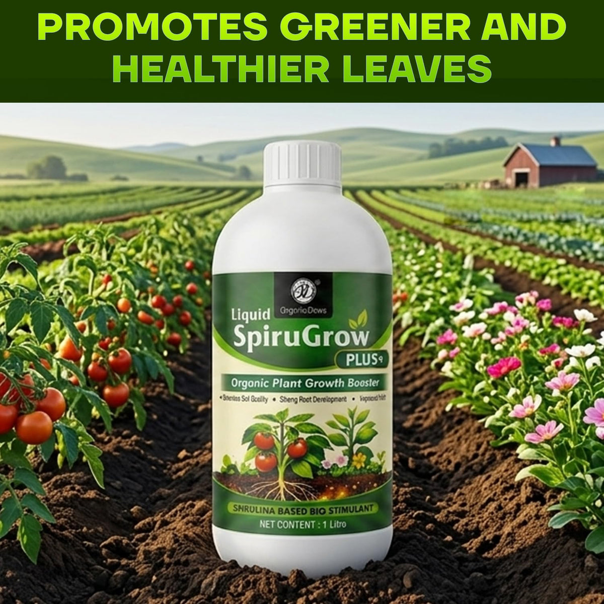 OrganicDews Liquid Spirulina Based Biostimulant for Plants - Organic Plant Growth Booster Improves Root Growth, Leaf Health & Flowering - For Indoor, Outdoor, Terrace & Garden Plants