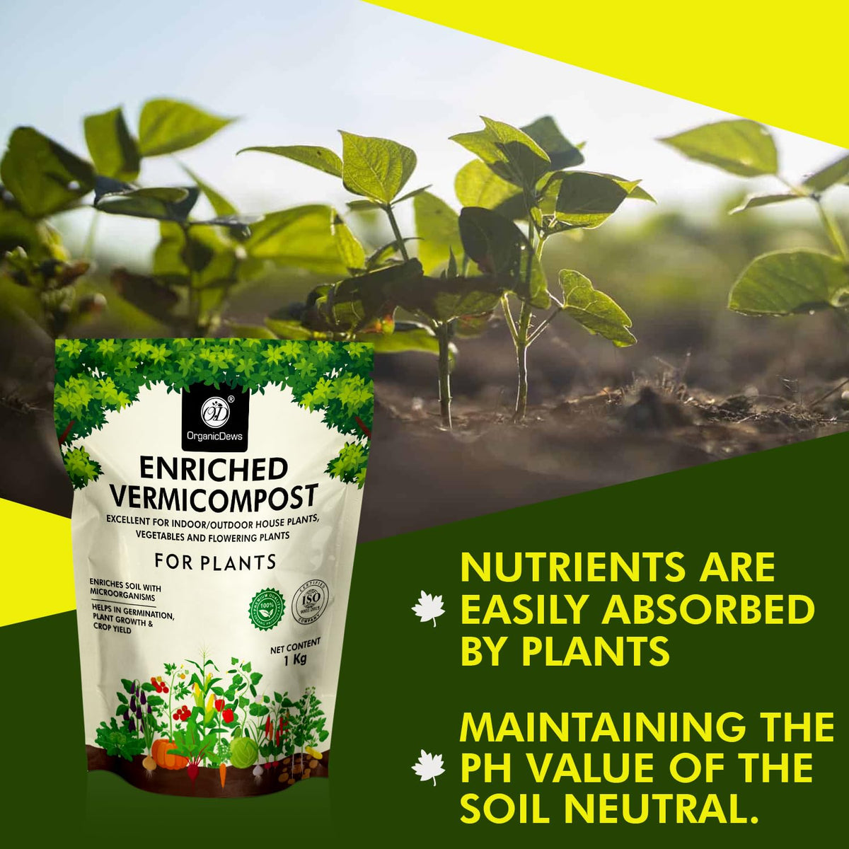 OrganicDews Enriched Vermicompost - Enriched & Fortified with Cow Dung and Bio Fertilizers - For Terrace Gardening, Vegetable/Flower Plants
