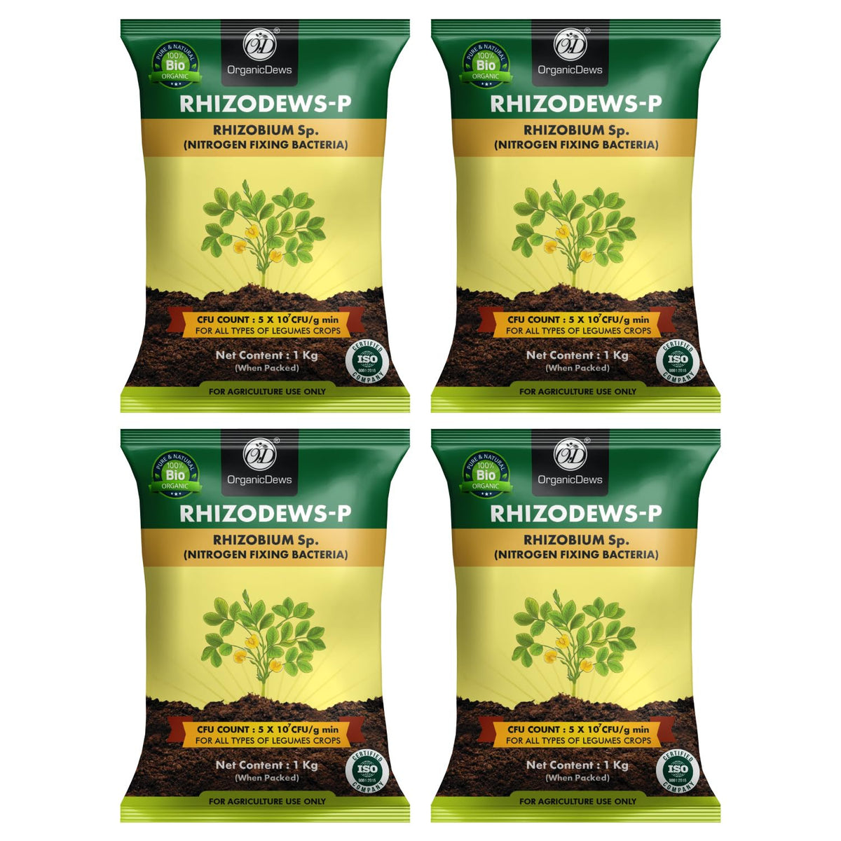 OrganicDews Rhizobium leguminosarum Bio Fertilizer Powder - Nitrogen-Fixing Bacteria (5×10⁷ CFU/g) for Legume Plants - Improves Nitrogen Availability, Root Development, Soil Fertility & Plant Growth - Rhizodews