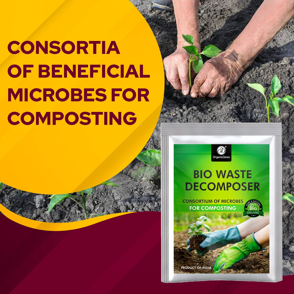 OrganicDews Bio Waste Decomposer – Microbial Inoculum for Faster Decomposition of Organic Kitchen & Garden Waste – Helps Convert Organic Waste into Compost – Easy Composting Solution
