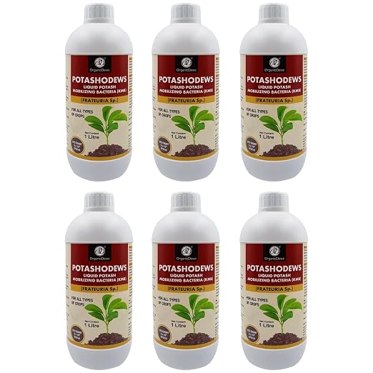 OrganicDews Potassium Mobilizing Bacteria (KMB) – 2×10⁸ CFU/mL Liquid Bio Inoculant Fertilizer for Plants – Supports Potassium Availability, Root Growth, Flowering & Fruit Quality – Potashodews