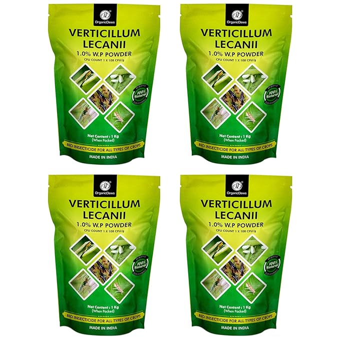 OrganicDews Verticillium lecanii (1x10^8 CFU/g) for Plants