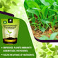 OrganicDews Pseudomonas Fluorescens Powder(2x10 8 CFU/g) for Seeds and Garden Plants - Against Root/Stem Rot, Wilt Fungal Dieases