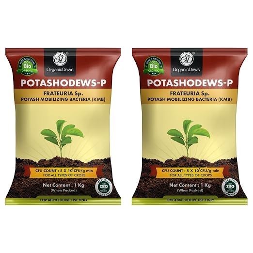 OrganicDews Potash Mobilizing Bacteria KMB Bio Fertilizer (5x10^7 CFU/g) Bio Inoculant for Plants – Improves Potassium Availability, Supports Root Growth, Flowering & Fruit Quality