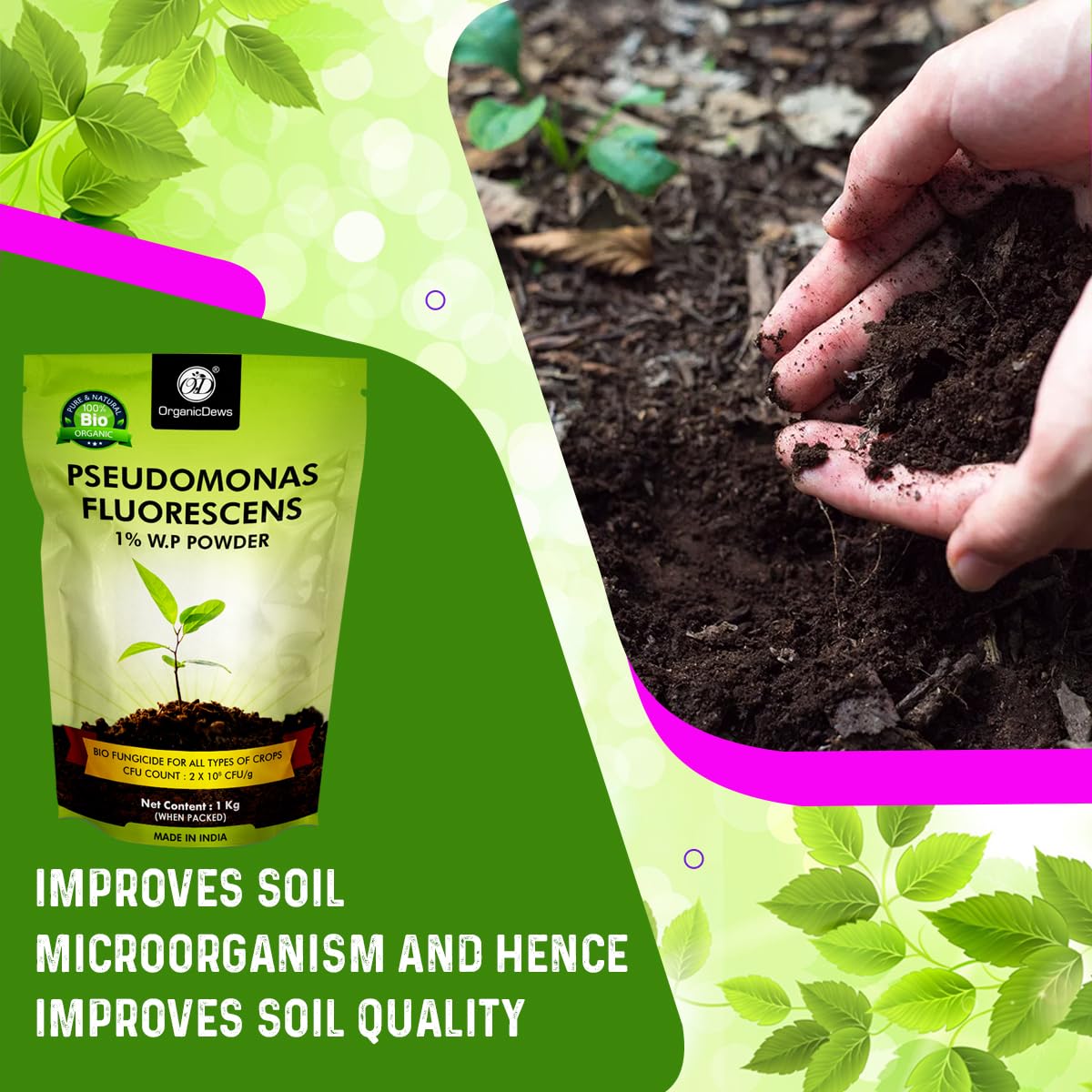 OrganicDews Pseudomonas Fluorescens Powder(2x10 8 CFU/g) for Seeds and Garden Plants - Against Root/Stem Rot, Wilt Fungal Dieases
